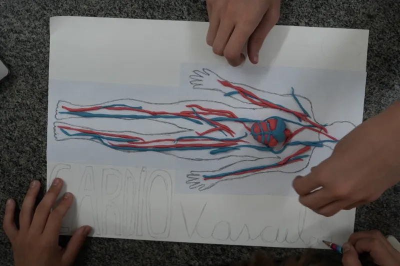 Projeto de ciências